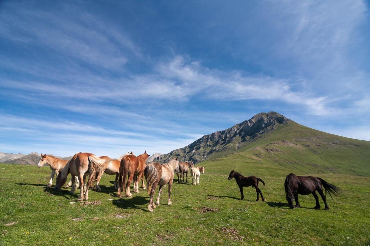 La Canonja Tremp